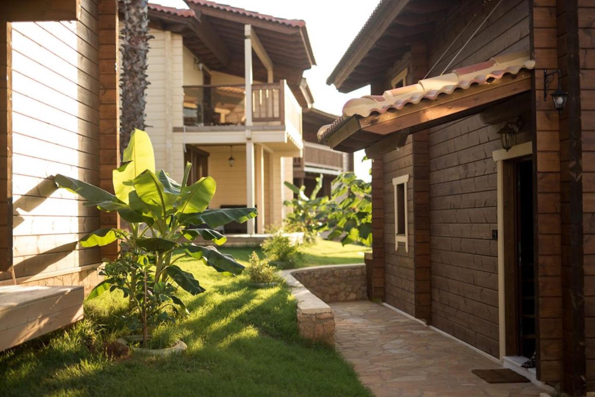 Anthidon Nature Estate & Farm Chalkís 客房 照片